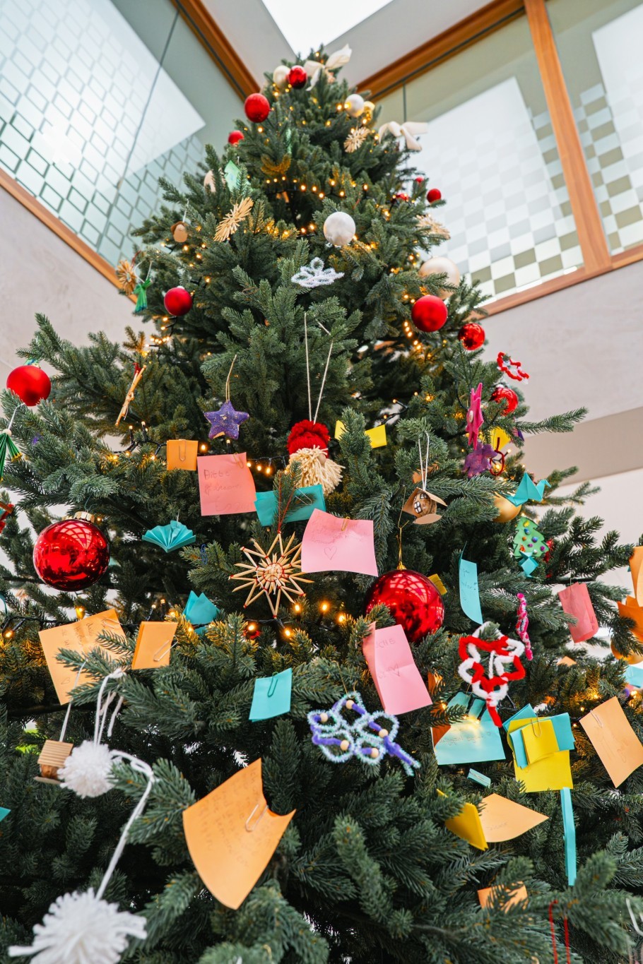 Weihnachtsbaum 2025 Foto 6